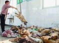 /album/je-to-krute-ale-je-to-tak/animalcruelty-jpg/