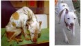 /album/je-to-krute-ale-je-to-tak/animals-3-jpg/